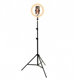 TREPIED RING LITE 10 GET PLUGGER