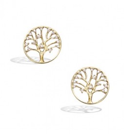 BOUCLE DOREILLES EN PLAQUE OR ARBRE DE VIE AVEC OXYDES 
