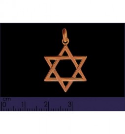 PENDENTIF EN PLAQUE OR ETOILE DE DAVID