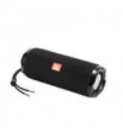ENCEINTE TG191