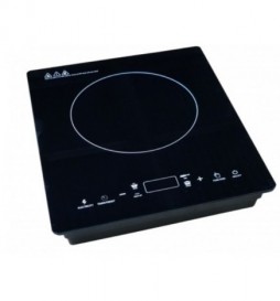 PLAQUE A INDUCTION DALSOM 500W