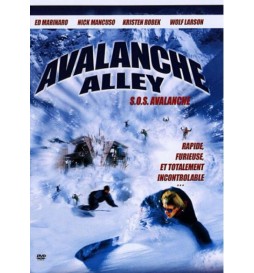 DVD AVALANCHE ALLEY
