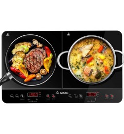 PLAQUE INDUCTION AOBOSI FS-IRC108 3500W